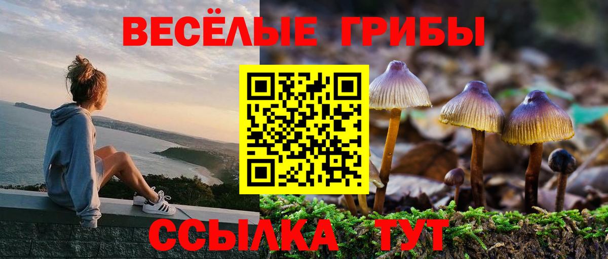 Заводоуковск  Псилоцибиновые грибы GOLDEN TEACHER  Вход с VPN 