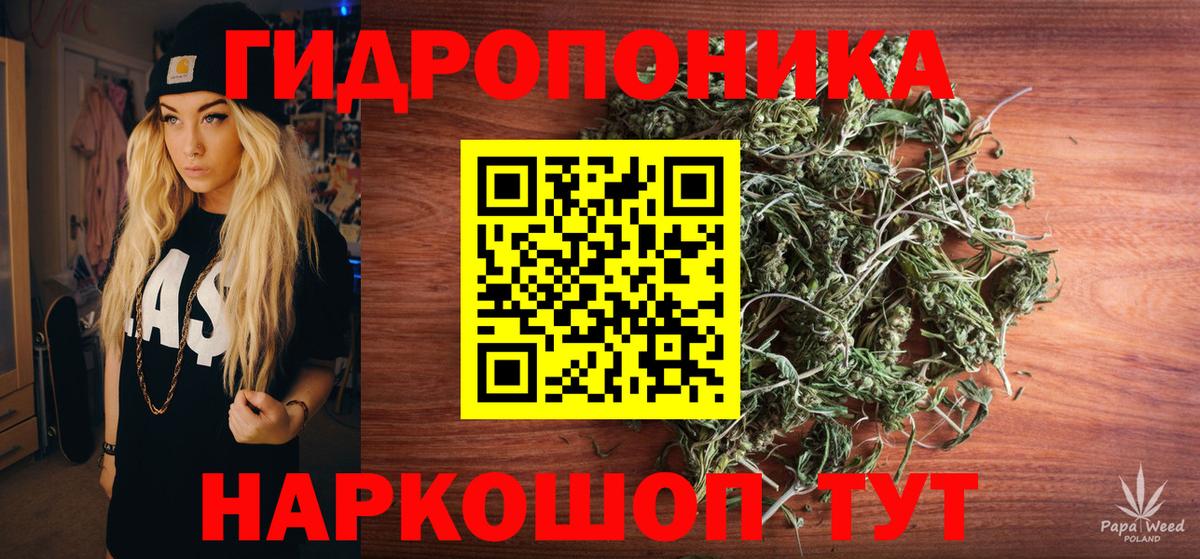 Марихуана ГИДРОПОН  Марихуана Ganja  Каннабис White Widow  Вход с VPN  Заводоуковск  Шишки марихуана планчик 